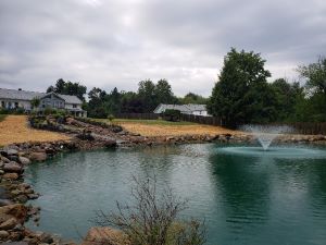 Aquascapes Ponds and Water Features