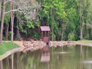 Aquascapes Ponds and Water Features