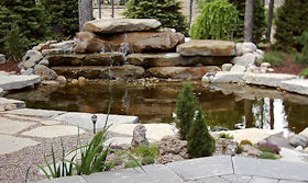 Aquascapes Aquascapes