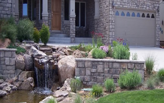 Aquascapes Aquascapes