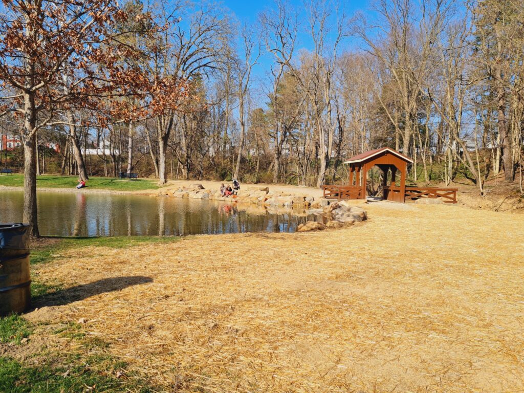 fall cleanups 1 - lawn-care and Maintenance
