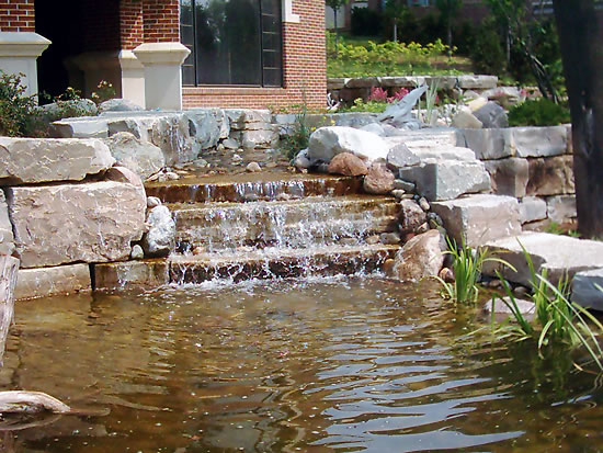 Aquascapes Aquascapes