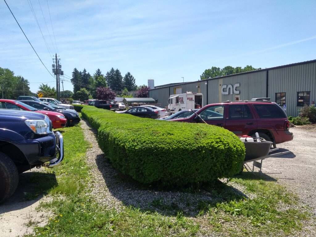 landscaping - lawn-care and Maintenance