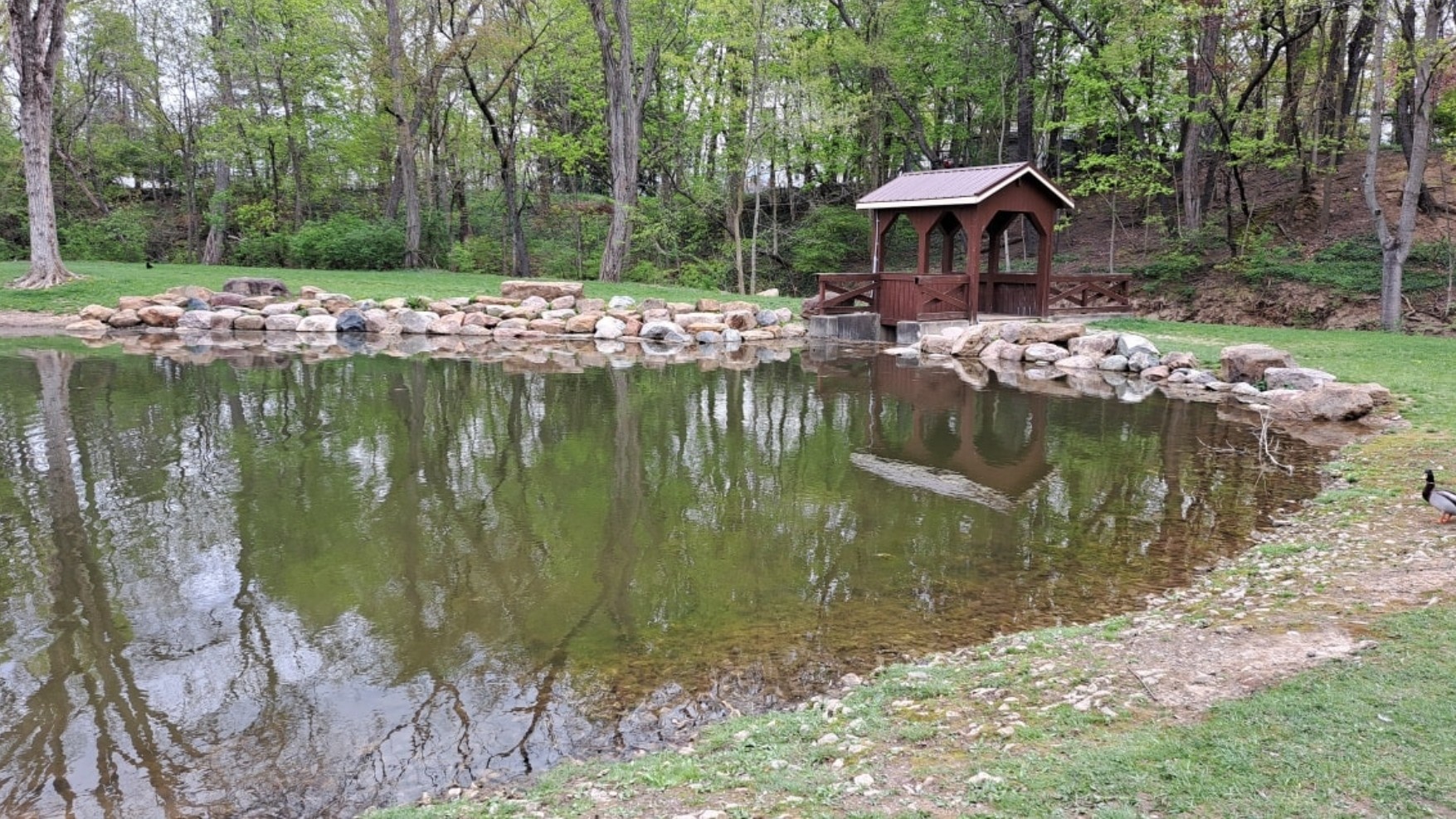 Envisions Landscape Construction Gallery