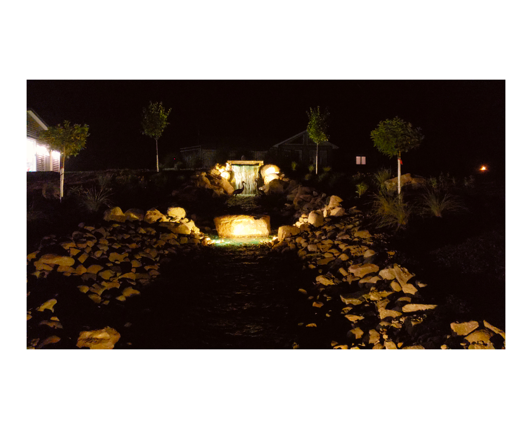 aquascapes aquascapes