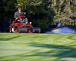 Mowing - services we provide customers