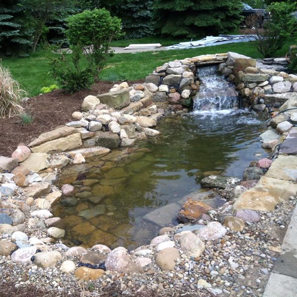 aquascapes aquascapes