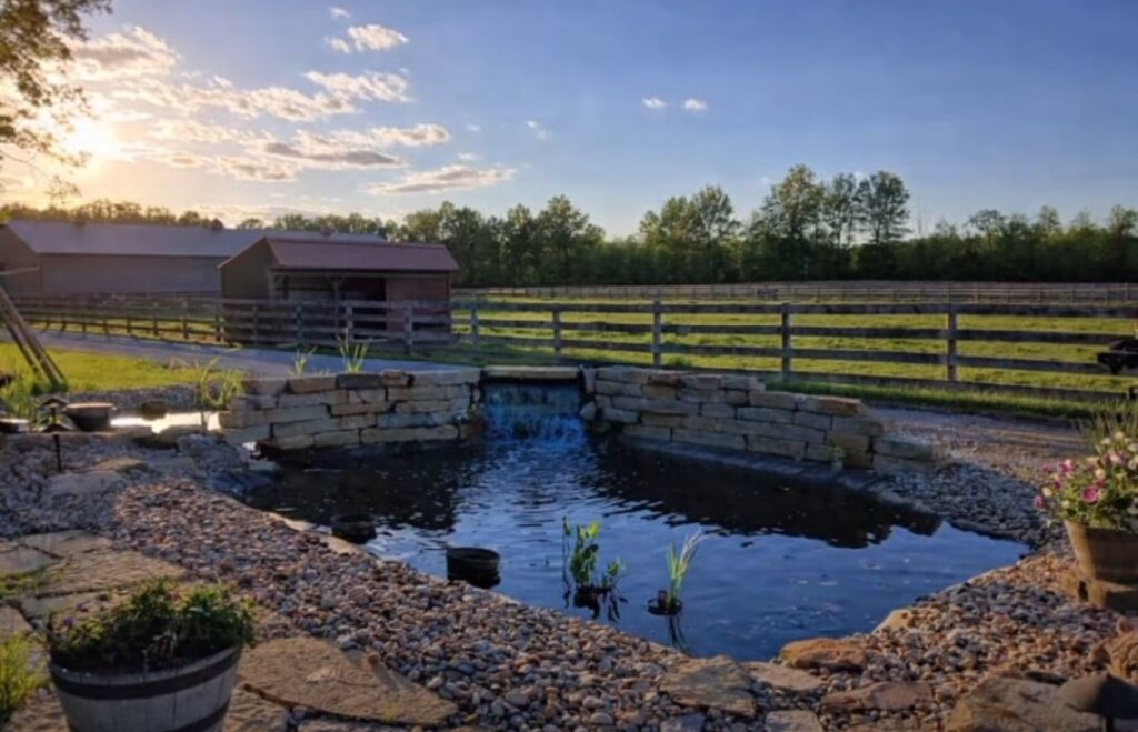Koi Pond with Natural Filter 3